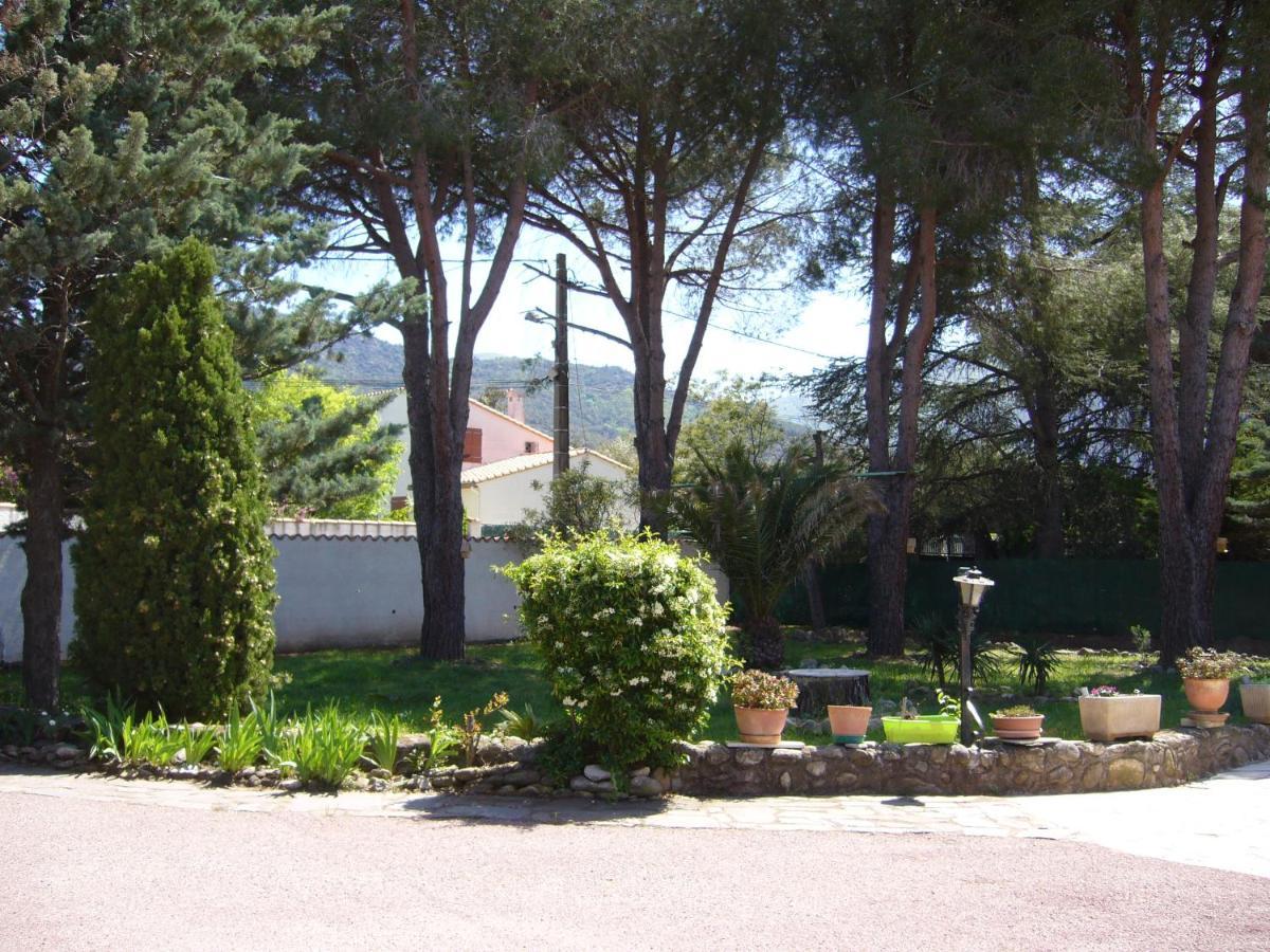 Mas Muriel - Entre Mediterranee Et Pyrenees, A La Port De L'Espagne Sorede Exterior photo